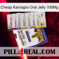 Cheap Kamagra Oral Jelly 100Mg 11